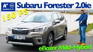 2020 Subaru Forester 2.0ie eBoxer MHEV - Kaufberatung, Test deutsch, Review, Fahrbericht