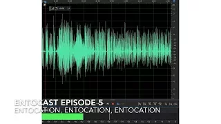 Episode 5: Entocation, Entocation, Entocation