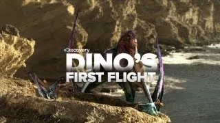 Baby Dinosaur's First Flight!