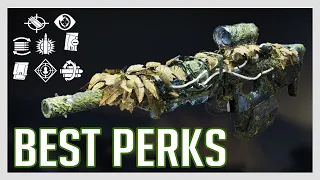 Best Perks for the Imperative Scout Rifle | Destiny 2 Shadowkeep