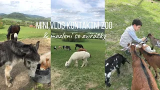 Mini vlog kontaktní zoo & mazlení se zvířátky🤍