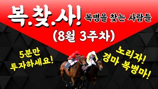 [경마] 복병을 찾는 사람들/복병마! 8월3주차 서울,부산 경마의 복병마 두마리!! #경마분석 #경마베팅 #경마복병마 #야간경마