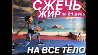 СЖЕЧЬ ЖИР БЫСТРО за 21 День /  НА ВСЕ ТЕЛО / Тренировка №1 / Elena & Dan Fit