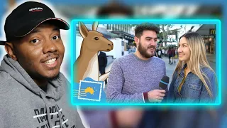 Do Australians Eat Kangaroo? | AMERICAN REACTS