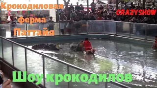 ПАТТАЙЯ. ШОУ НА КРОКОДИЛОВОЙ ФЕРМЕ / PATTAYA. SHOW AT CROCODILE FARM