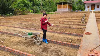 9 days of building a garden with bricks, sand and cement ; farm construction / Bàn Thị Diết