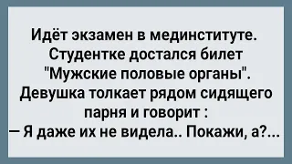 Студентка На Экзамене Просит Показать! Сборник Свежих Анекдотов! Юмор!