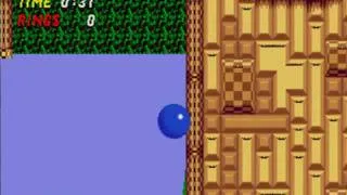 Sonic 2: What remains of Wood Zone & Hidden Palace Zone