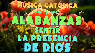 🙏 Música Católica 2024 💝 Música católicos De La Mañana Que Trae Paz Y Tranquilidad 20224 😇