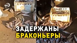 Двух жителей Кизляра задержали с 500 кг незаконно пойманной рыбы