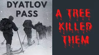 The Dyatlov Pass : TREE THEORY -WHAT REALLY HAPPENED | 3 NEW PIECES OF EVIDENCE