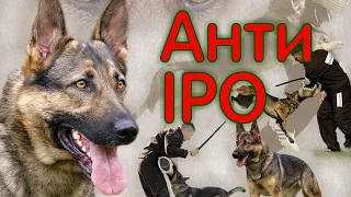 Собака для охраны,  старый метод, анти-IPO