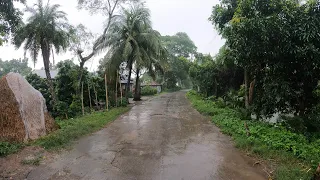 Walking on a Heavy Rain Day in Bangladesh Village | ASMR Rain sounds for sleeping