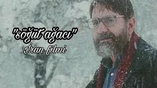 söğüt ağacı |İran filmi full izle altyazılı full #film #iranfilmi