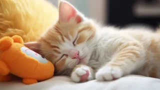 Calming Music for Anxious Cats: Soothing Sounds for Deep Relaxation and Sleep