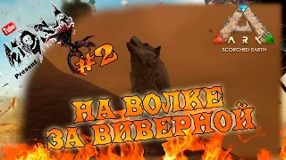 ARK Scorched Earth  (выжженные земли) #2 На волке за Виверной