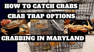 Crabbing In Maryland - Best Crab Trap Options