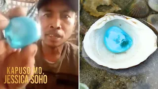 Asul na bato na hinihinalang blue diamond, nakuha ng mangingisda?! | Kapuso Mo, Jessica Soho