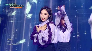 Butterfly : LOONA(이달의 소녀 今月の少女) -  [Music Bank/2019.03.22]