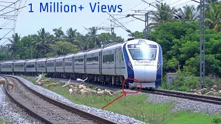 Live Train accident ! VANDE BHARAT EXPRESS Run Over Poor Sheep Crossing a Railway Line at Hi-speed 🫥