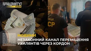 Незаконний канал переміщення ухилянтів через кордон: львівські поліцейські затримали злочинну групу