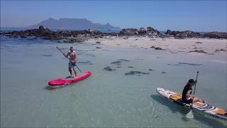 Cape Town Surf School - SUP