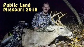 Missouri Public Land Buck - National Forest