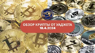 КУДА ИДЕТ РЫНОК КРИПТЫ? ПРОГНОЗЫ ОТ УАДЖЕТА