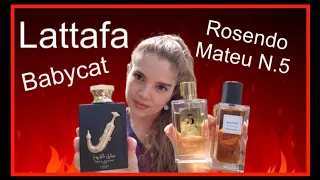 Lattafa ISHQ AL SHUYUKH GOLD | Se Parcece a Rosendo Mateu N.5 / Babycat ?  El Perfume Más Sexy? 🔥