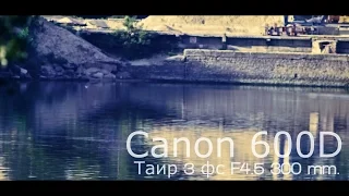 Сanon 600D + Таир-3-фс F4.5 300 мм