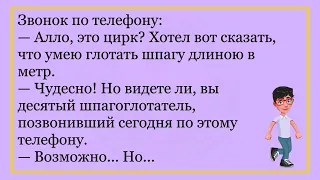 💎Мужик Прыгнул С Парашютом...Большой Сборник Лучших Анекдотов До Слёз!