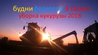 уборка кукурузы Оржица  (нью холланд ск 6 колос 2018