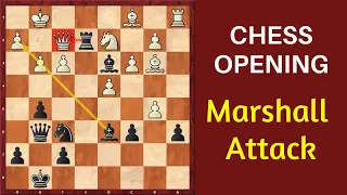 Chess Opening: Marshall Attack (Gambit) - Ruy Lopez