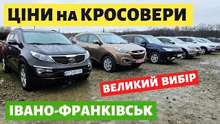 СВІЖЕНЬКІ КРОСОВЕРИ в ІВАНО-ФРАНКІВСЬКУ //  АВТОБАЗАР //  31.03.2024р. #автопідбір #автобазар