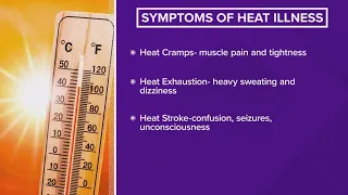 Symptoms of heat illness