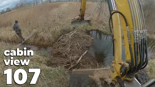 Beaver Dam Near The Hunting Tower - Beaver Dam Removal With Excavator No.107 - Cabin View