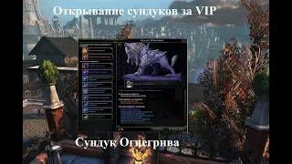 Neverwinter Online. Открывание сундуков за VIP. Сундук Огнегрива