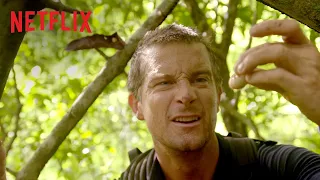 Du gegen die Wildnis | Interaktive Serie | Offizieller Trailer | Netflix