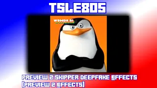 Preview 2 Skipper Deepfake Effects