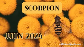 SCORPION 🐝 JUIN 2024