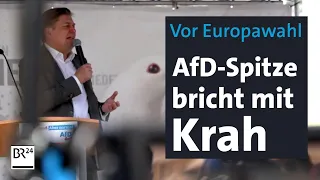 Vor Europawahl: AfD-Parteispitze bricht mit Krah | BR24