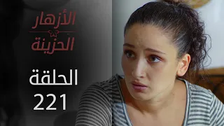 مسلسل الأزهار الحزينة | الحلقة 221 - الموسم الثاني