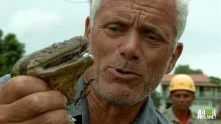 Never Catch an Anaconda with Your Bare Hands | River Monsters