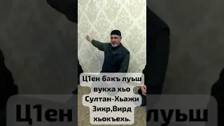 Ч1ОГ1 ХАЗ ХЬЕХАМ  ВИРД ДАКХАР  СУЛТАН МИРЗАЕВ