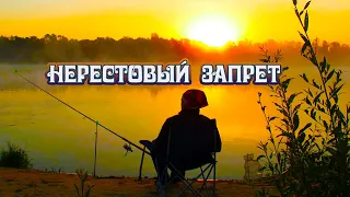 Что можно и что нельзя в Нерестовый запрет в Свердловской области 2023 год