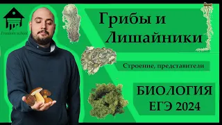 ГРИБЫ и ЛИШАЙНИКИ для ЕГЭ 2024 |ЕГЭ БИОЛОГИЯ|Freedom|