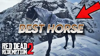 Le meilleur cheval de Red Dead REDEMPTION 2 ( je le trouve en 5 secondes )