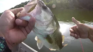 A Great Way To Target Big Bass!