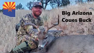 Grey Ghost - Big Coues Buck in Southern Arizona