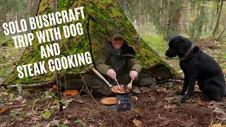 Bushcraft Girl in a Forest Day Camp, Woodland Tarp, Steak Cooking, Nature | ASMR